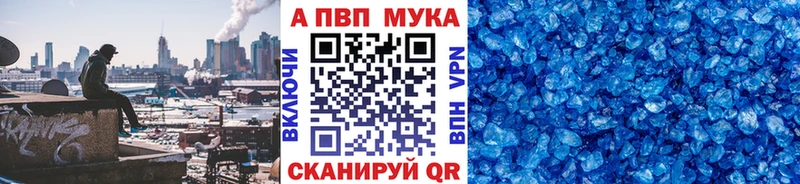 A PVP СК  Сыктывкар 