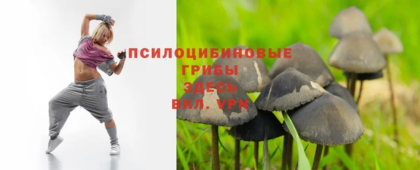 дурь Верея