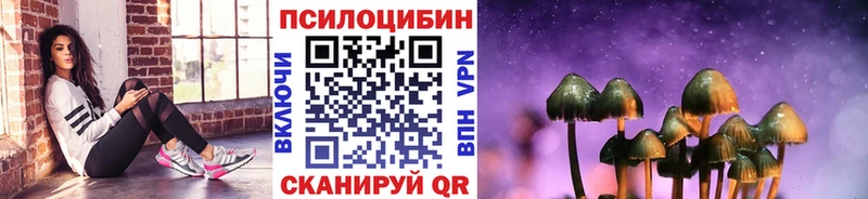 Галлюциногенные грибы Psilocybe  Сыктывкар 